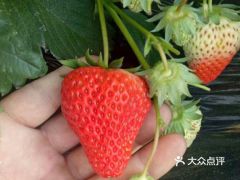 电话,地址,价格,营业时间 沈阳休闲娱乐