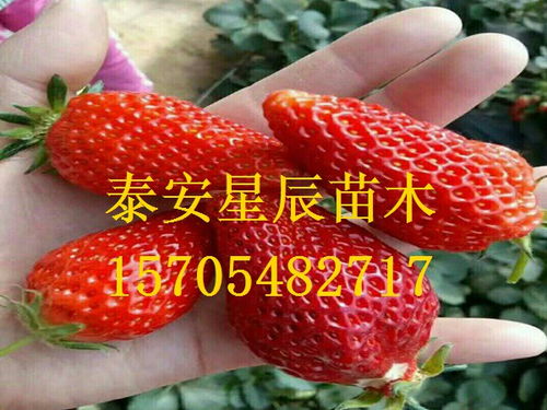 武汉