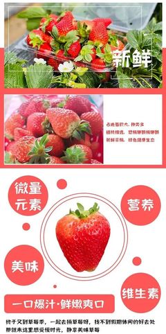 尚品草莓采摘园 亲子同乐，甜蜜共享